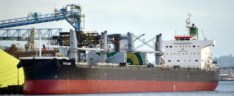 TRADE Bulk Carrier IMO 9425942 photo 10