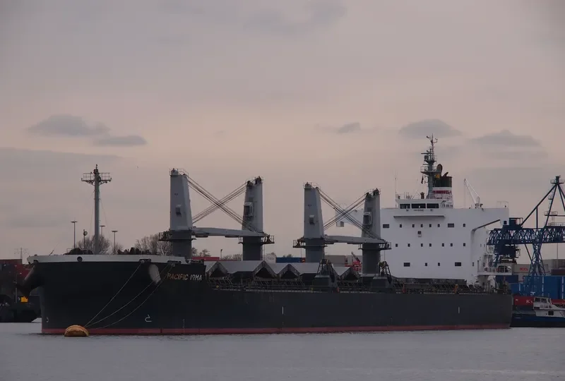 PEACE HOPE Bulk Carrier IMO 9425954 photo 4