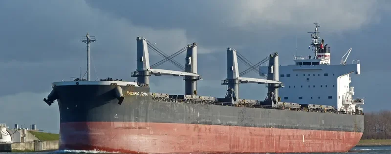 PEACE HOPE Bulk Carrier IMO 9425954 photo 9