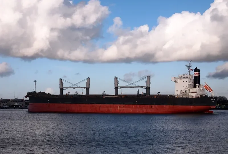 PEACE HOPE Bulk Carrier IMO 9425954 photo 10