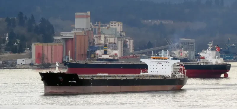 NIKILAND Bulk Carrier IMO 9426001 photo 7