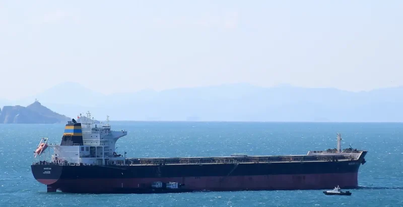NIKILAND Bulk Carrier IMO 9426001 photo 10