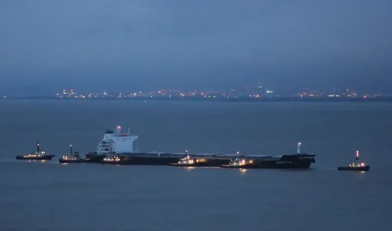 LM SELENE Bulk Carrier IMO 9426025 photo 5