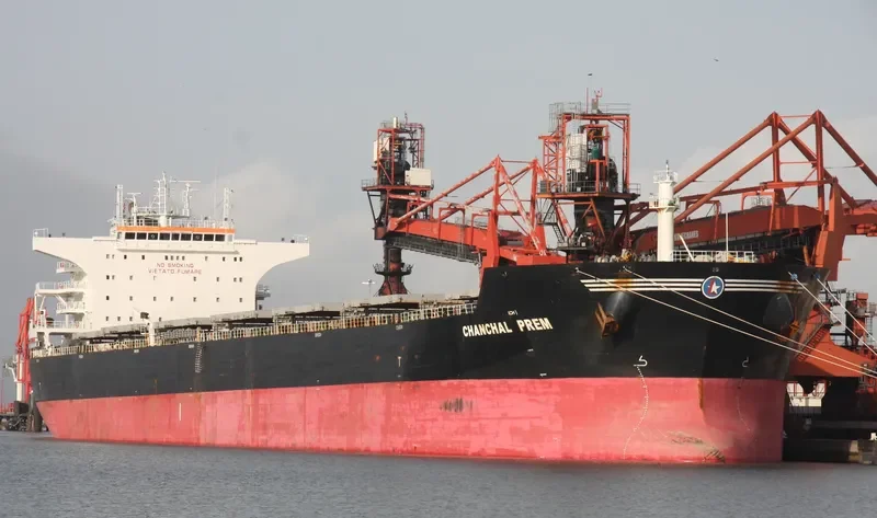 LM SELENE Bulk Carrier IMO 9426025 photo 6