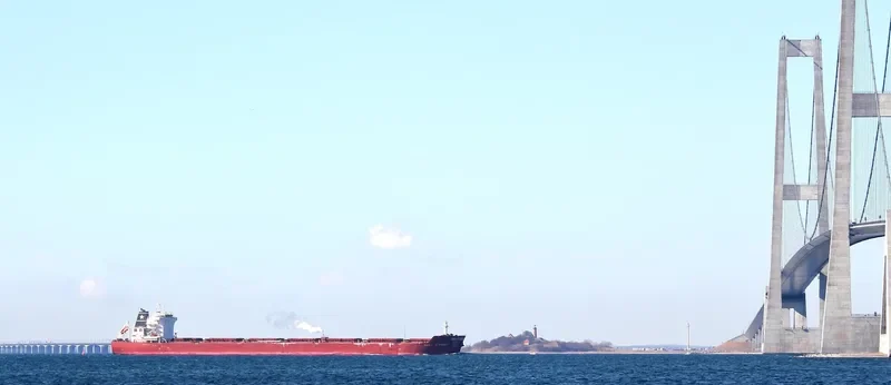 PAOLA BOTTIGLIERI Bulk Carrier IMO 9426075 photo 2