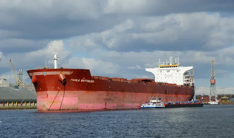 PAOLA BOTTIGLIERI Bulk Carrier IMO 9426075 photo 7