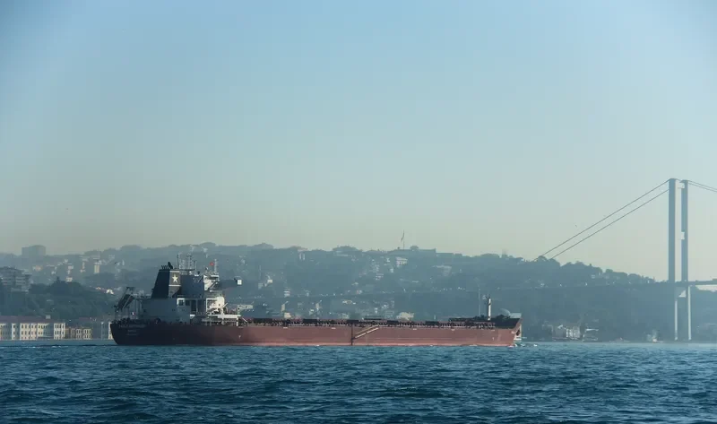 PAOLA BOTTIGLIERI Bulk Carrier IMO 9426075 photo 8