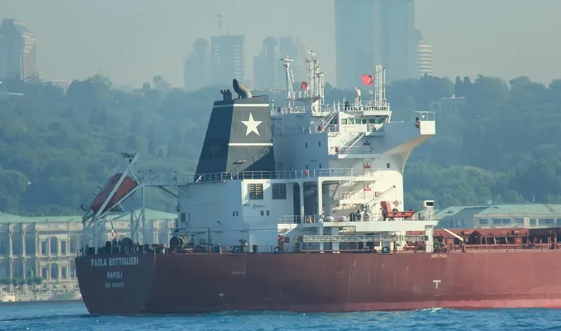 PAOLA BOTTIGLIERI Bulk Carrier IMO 9426075 photo 9