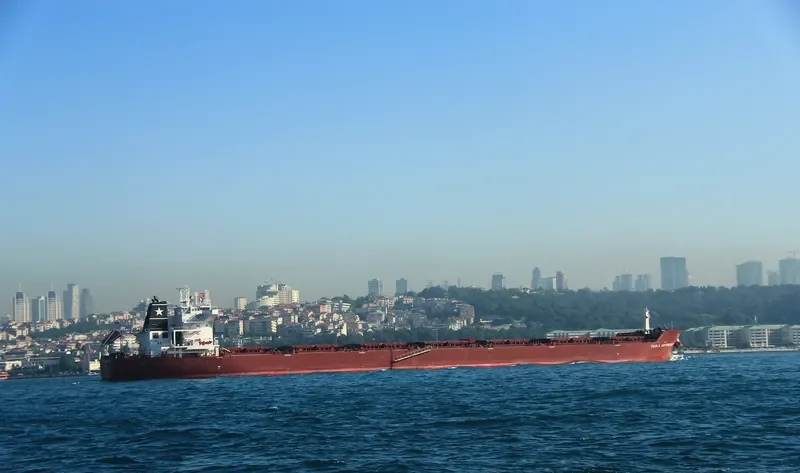 PAOLA BOTTIGLIERI Bulk Carrier IMO 9426075 photo 10