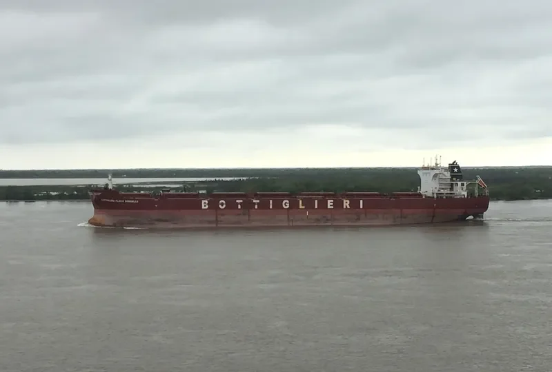 ZHONG XIN FA ZHAN Bulk Carrier IMO 9426099