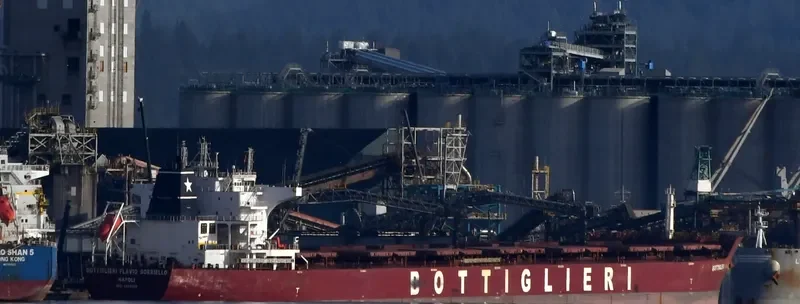 ZHONG XIN FA ZHAN Bulk Carrier IMO 9426099 photo 8