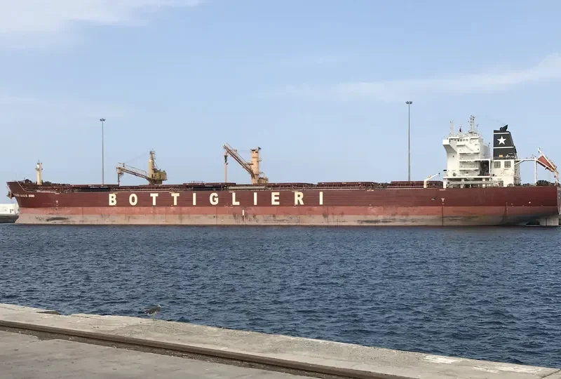 PAMPERO Bulk Carrier IMO 9426104 photo 2
