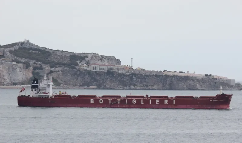 PAMPERO Bulk Carrier IMO 9426104 photo 3