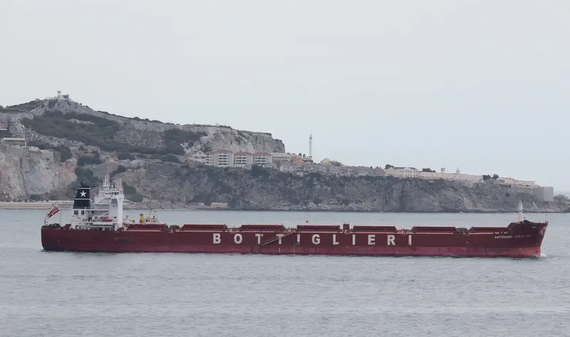 PAMPERO Bulk Carrier IMO 9426104 photo 4