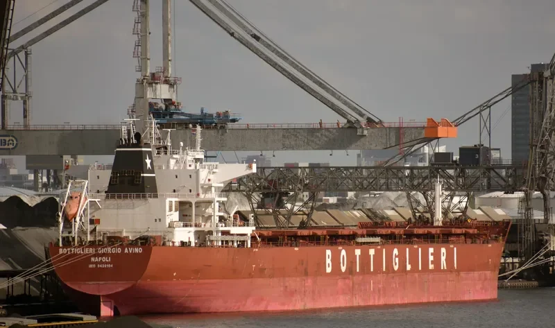 PAMPERO Bulk Carrier IMO 9426104 photo 6