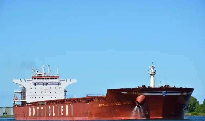 PAMPERO Bulk Carrier IMO 9426104 photo 9