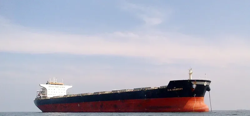 SEA HONESTY Bulk Carrier IMO 9426116 photo 2