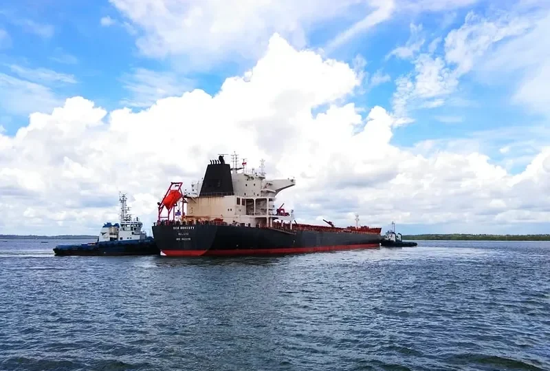 SEA HONESTY Bulk Carrier IMO 9426116 photo 8