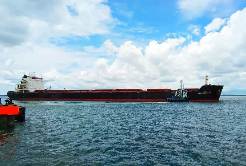 SEA HONESTY Bulk Carrier IMO 9426116 photo 9