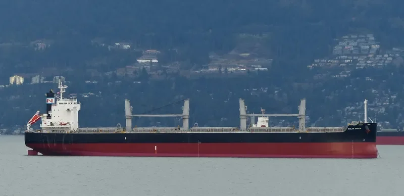 SOLAR AFRICA Bulk Carrier IMO 9426128 photo 3