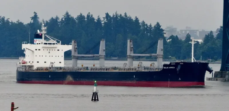 SOLAR AFRICA Bulk Carrier IMO 9426128 photo 8