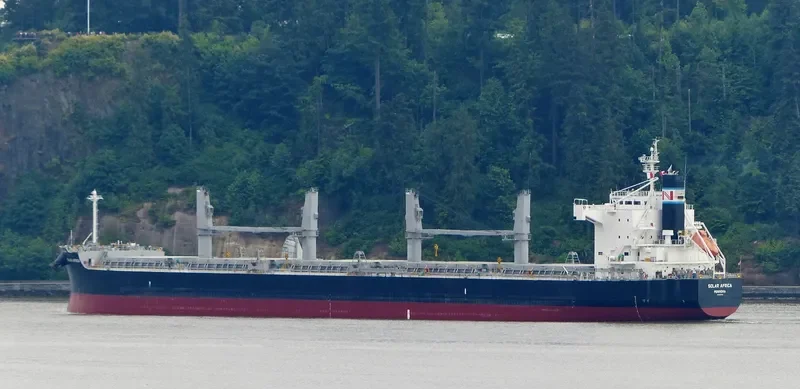 SOLAR AFRICA Bulk Carrier IMO 9426128 photo 9