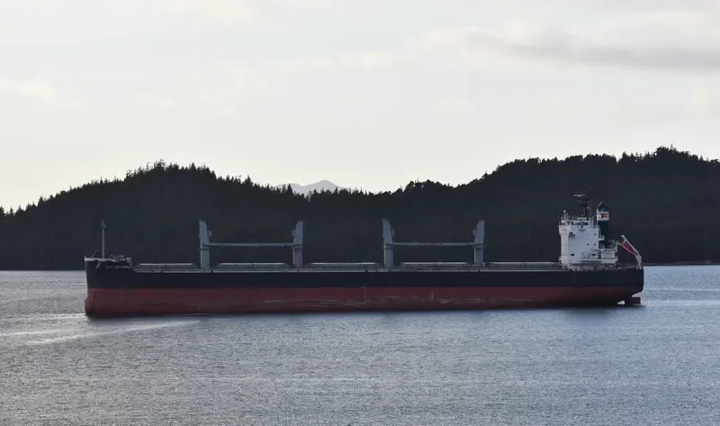 EVER SUCCESS Bulk Carrier IMO 9426130