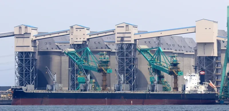 EVER SUCCESS Bulk Carrier IMO 9426130 photo 2