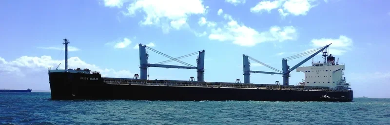 EVER SUCCESS Bulk Carrier IMO 9426130 photo 3