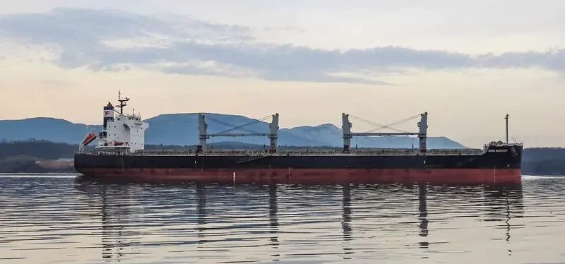 EVER SUCCESS Bulk Carrier IMO 9426130 photo 7