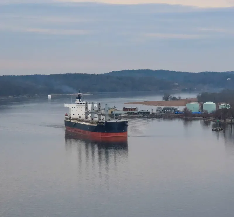 EVER SUCCESS Bulk Carrier IMO 9426130 photo 8