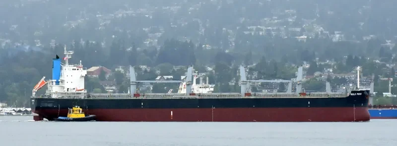 CURACAO Bulk Carrier IMO 9426142 photo 3