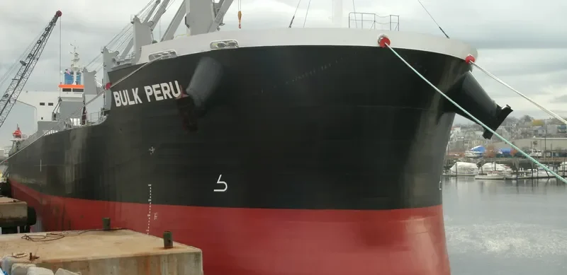CURACAO Bulk Carrier IMO 9426142 photo 8