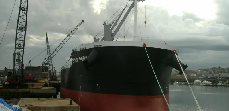 CURACAO Bulk Carrier IMO 9426142 photo 9