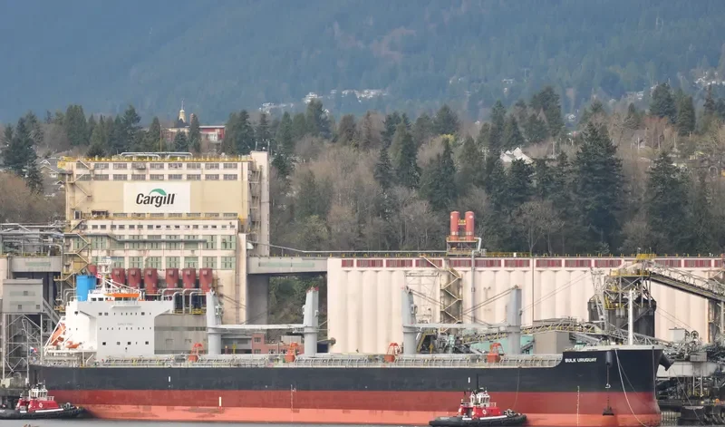 BULK URUGUAY Bulk Carrier IMO 9426154 photo 4