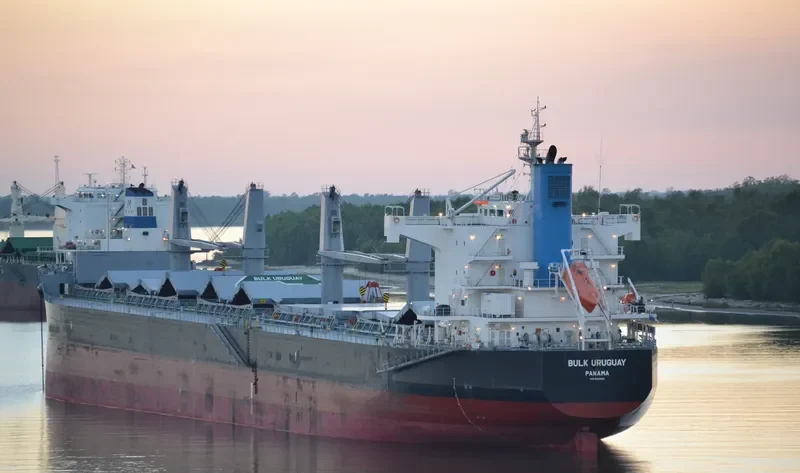 BULK URUGUAY Bulk Carrier IMO 9426154 photo 6