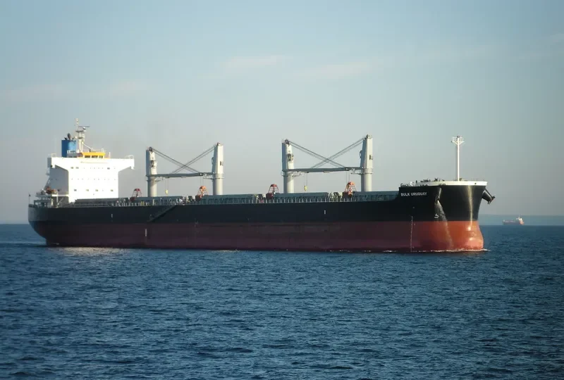 BULK URUGUAY Bulk Carrier IMO 9426154 photo 8