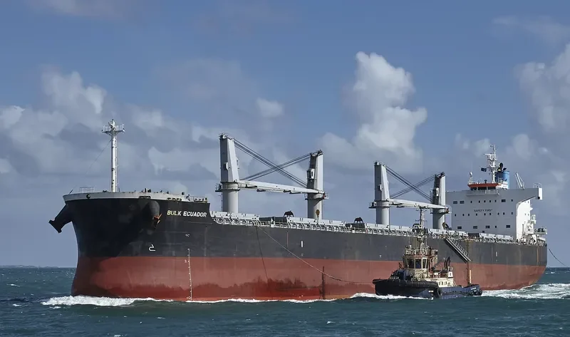 BULK ECUADOR Bulk Carrier IMO 9426192 photo 4