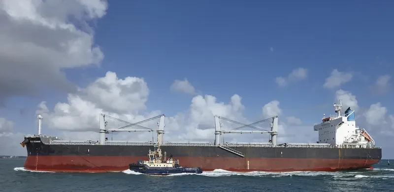 BULK ECUADOR Bulk Carrier IMO 9426192 photo 5