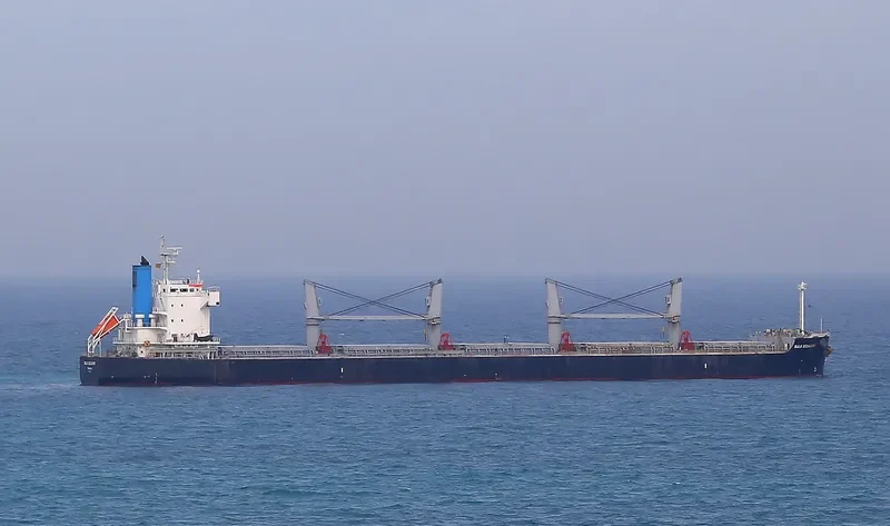 BULK ECUADOR Bulk Carrier IMO 9426192 photo 7