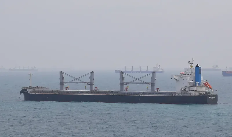 BULK ECUADOR Bulk Carrier IMO 9426192 photo 9