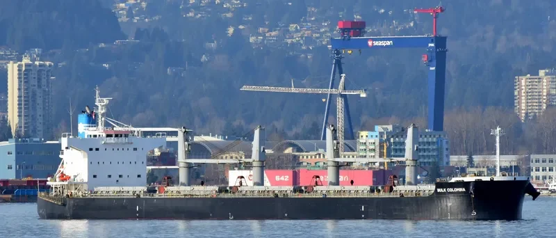 BULK COLOMBIA Bulk Carrier IMO 9426245 photo 7