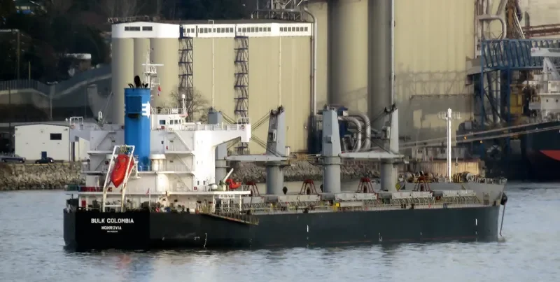 BULK COLOMBIA Bulk Carrier IMO 9426245 photo 8