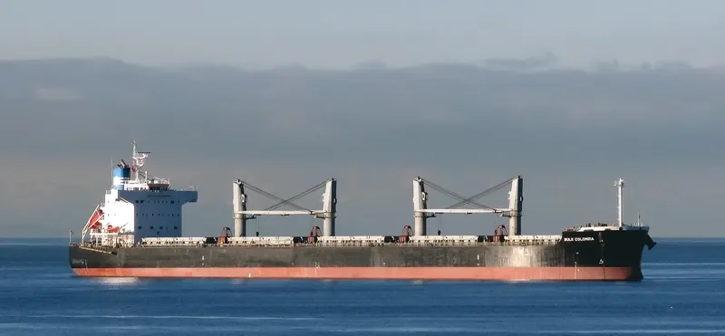BULK COLOMBIA Bulk Carrier IMO 9426245 photo 9