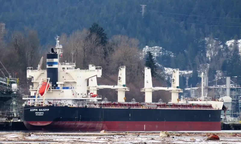 DORIC VALOUR Bulk Carrier IMO 9426257