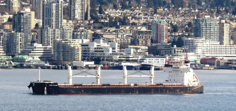 DORIC VALOUR Bulk Carrier IMO 9426257 photo 2