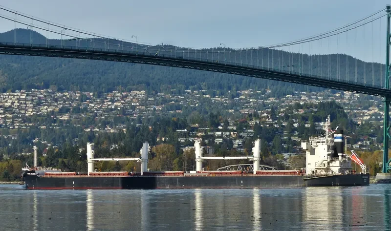 DORIC VALOUR Bulk Carrier IMO 9426257 photo 5