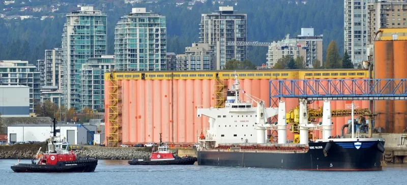 DORIC VALOUR Bulk Carrier IMO 9426257 photo 8