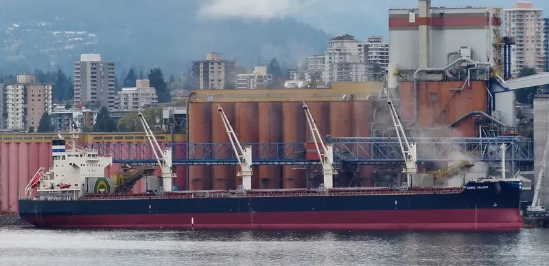 DORIC VALOUR Bulk Carrier IMO 9426257 photo 9