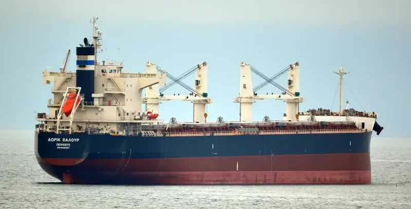 DORIC VALOUR Bulk Carrier IMO 9426257 photo 10